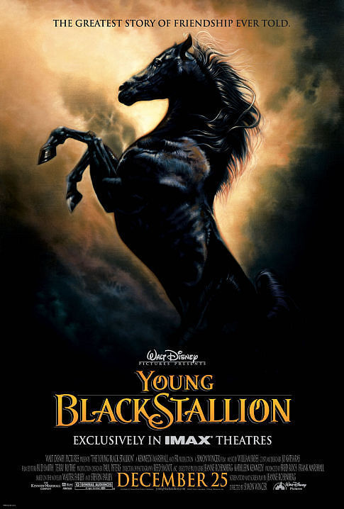 The.Young.Black.Stallion.2003.1080p.AMZN.WEB-DL.DDP5.1.H.264-ETHiCS – 4.4 GB