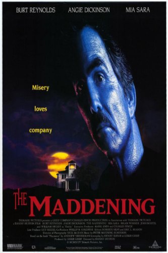 The.Maddening.1996.1080p.AMZN.WEB-DL.DD+2.0.H.264-BLUTONiUM – 8.3 GB