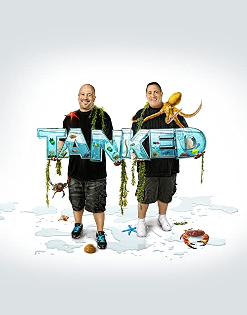 Tanked.S06.720p.AMZN.WEB-DL.DDP2.0.H.264-NTb – 9.1 GB