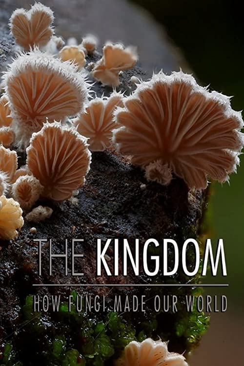 "The Nature of Things" The Kingdom: How Fungi Made Our World