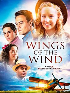 Wings.of.the.Wind.2015.1080p.AMZN.WEB-DL.DDP2.0.x264-ABM – 8.2 GB
