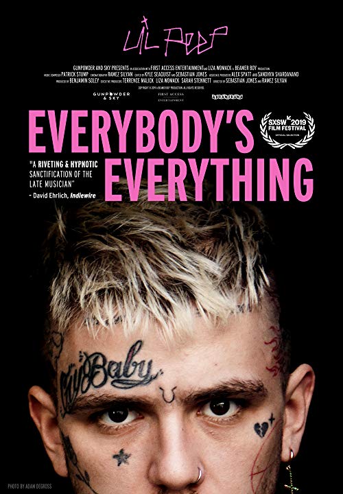 Everybody’s.Everything.2019.1080p.AMZN.WEB-DL.DDP2.0.x264-oNePiEcE – 6.9 GB