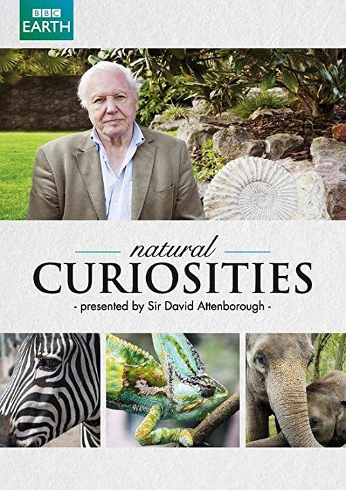 David.Attenborough’s.Natural.Curiosities.S04.1080p.AMZN.WEB-DL.DD+2.0.H.264-Cinefeel – 8.2 GB