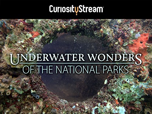Underwater.Wonders.of.the.National.Parks.S01.1080p.WEBRip.x264-TViLLAGE – 9.3 GB
