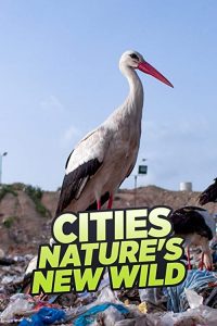 Cities.Nature’s.New.Wild.S01.1080p.AMZN.WEB-DL.DD+5.1.H.264-Cinefeel – 11.8 GB