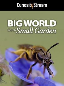 Big.World.in.a.Small.Garden.2016.2160p.WEB-DL.AAC2.0.H.264-BLUTONiUM – 1.3 GB