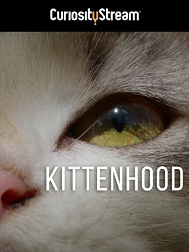 Kittenhood.2015.1080p.AMZN.WEBRip.DD2.0.x264-monkee – 3.3 GB