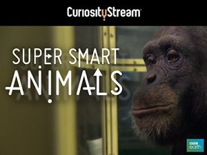 Super.Smart.Animals.S01.1080p.WEB-DL.AAC2.0.x264-Lakeland – 3.6 GB