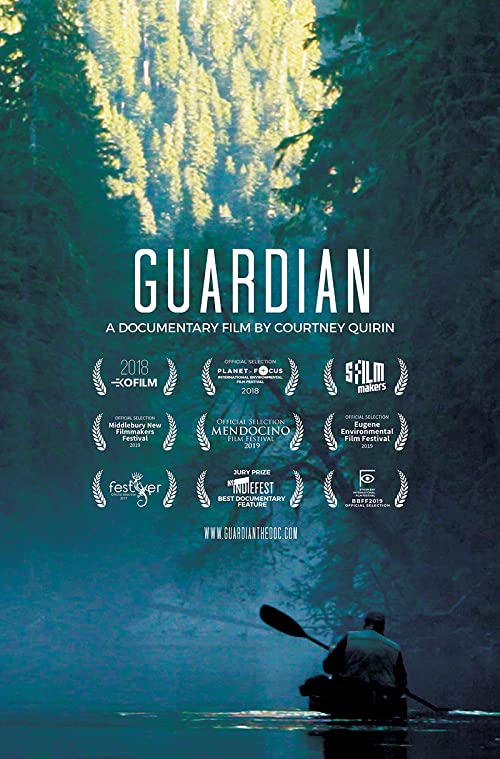 Guardian.2019.1080p.AMZN.WEB-DL.DD+5.1.H.264-Cinefeel – 5.2 GB