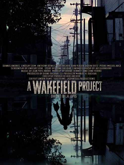 A.Wakefield.Project.2019.1080p.WEB-DL.H264.AC3-EVO – 3.1 GB
