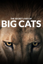 The.Secret.Lives.Of.Big.Cats.S01.1080p.WEB-DL.AAC2.0.x264-Lakeland – 12.2 GB