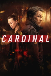 Cardinal.S04E04.iNTERNAL.720p.WEB.H264-DiMEPiECE – 766.5 MB