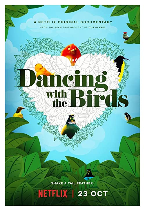 Dancing.with.the.Birds.2019.2160p.NF.WEBRip.DDP5.1.x265-TOMMY – 11.2 GB