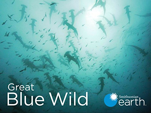 Great.Blue.Wild.S02.1080p.AMZN.WEB-DL.DDP2.0.H.264-RCVR – 29.4 GB