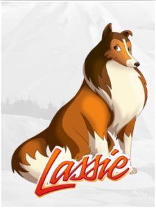 The.New.Adventures.of.Lassie.S01.1080p.AMZN.WEB-DL.DDP2.0.H.264-TEPES – 24.1 GB