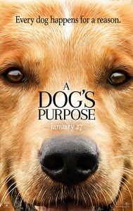 A.Dog’s.Purpose.2017.720p.BluRay.DD5.1.x264-E1 – 4.7 GB