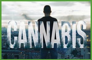 Cannabis.S01.1080p.NF.WEB-DL.DDP2.0.x264-QOQ – 9.8 GB