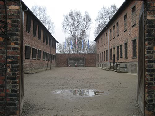 Made.in.Auschwitz.2019.1080p.AMZN.WEB-DL.DDP2.0.H.264-TEPES – 4.4 GB
