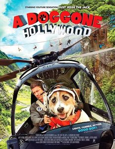 A.Doggone.Hollywood.2017.1080p.AMZN.WEB-DL.DD+5.1.H.264-JETIX – 6.0 GB