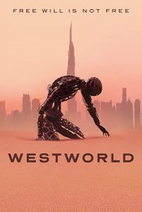 Westworld.S03.1080p.AMZN.WEB-DL.DDP5.1.H.264-NTb – 35.0 GB