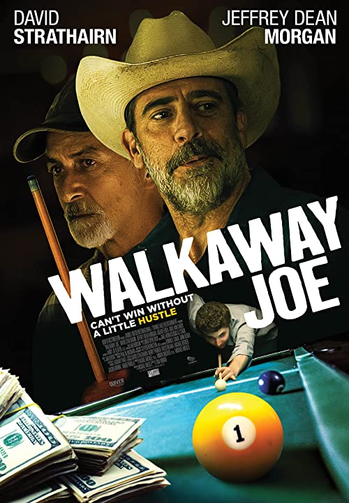 Walkaway.Joe.2020.1080p.WEB-DL.H264.AC3-EVO – 3.1 GB