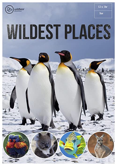 Wildest.Places.S01.1080p.WEB-DL.DDP2.0.H.264-ASCENDANCE – 14.3 GB