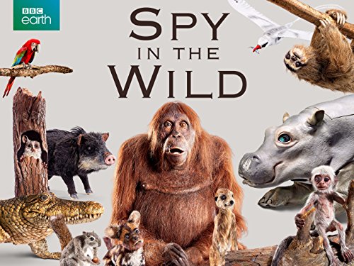 Spy.in.the.Wild.S02.720p.BluRay.x264-SHORTBREHD – 12.5 GB