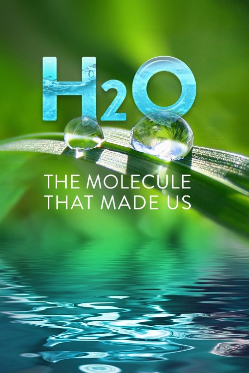 H2O.The.Molecule.That.Made.Us.S01.720p.PBS.WEB-DL.AAC2.0.H.264-TEPES – 5.3 GB
