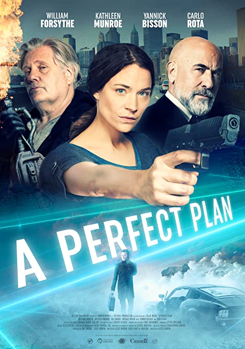 A.Perfect.Plan.2020.1080p.AMZN.WEB-DL.DDP5.1.H.264-NTG – 5.4 GB