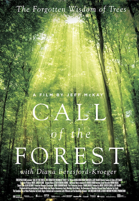 Call.of.The.Forest.The.Forgotten.Wisdom.Of.Trees.2016.1080p.AMZN.WEB-DL.DDP5.1.H.264-IJP – 5.9 GB
