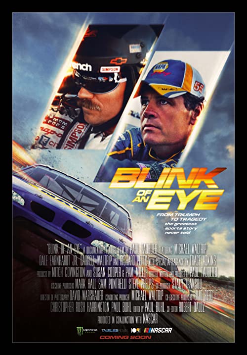 Blink.of.an.Eye.2019.1080p.AMZN.WEB-DL.DDP2.0.H.264-TEPES – 5.9 GB