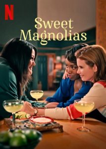 Sweet.Magnolias.S01.720p.WEB.H264-METCON – 10.4 GB