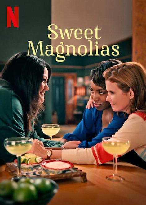 Sweet.Magnolias.S01.720p.WEB.H264-METCON – 10.4 GB