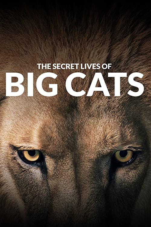 The.Secret.Lives.of.Big.Cats.S01.1080p.HMAX.WEB-DL.DD2.0.H.264-monkee – 13.9 GB