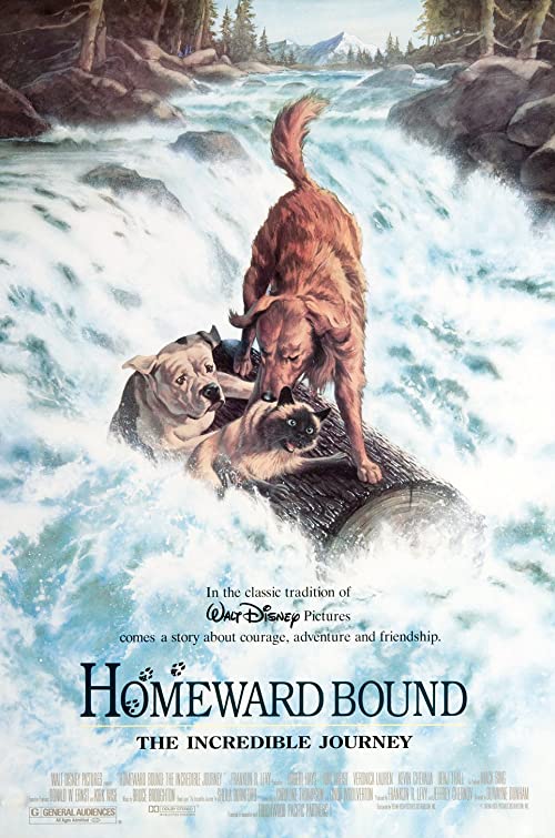 Homeward.Bound.The.Incredible.Journey.1993.1080p.AMZN.WEB-DL.DDP5.1.x264-ABM – 8.5 GB
