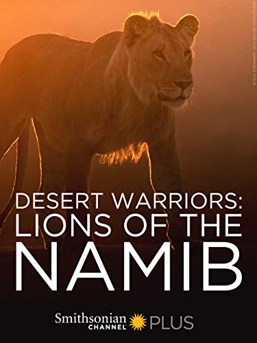 Desert.Warriors.Lions.of.the.Namib.2016.1080p.AMZN.WEB-DL.DDP2.0.H.264-NTb – 2.9 GB