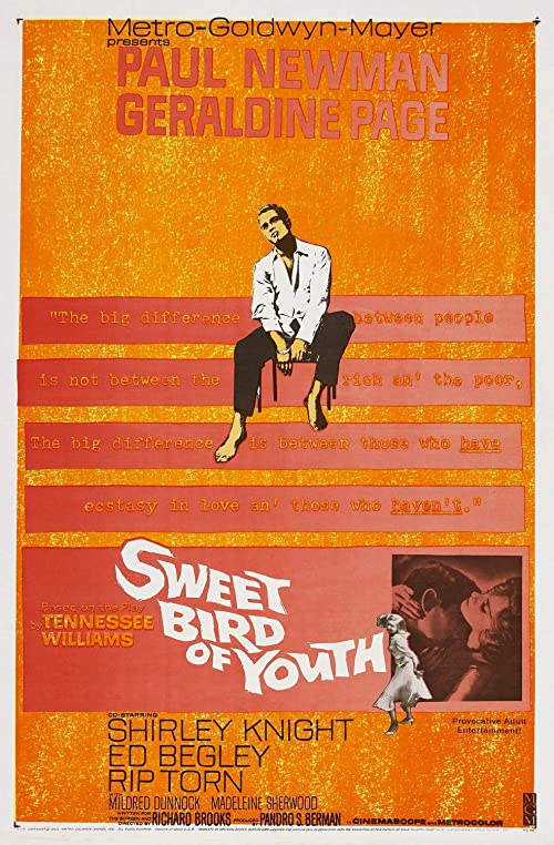Sweet.Bird.of.Youth.1962.1080p.BluRay.FLAC2.0.x264-PTer – 14.0 GB
