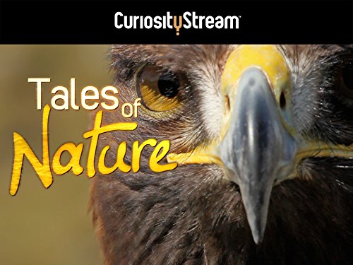 Tales of Nature