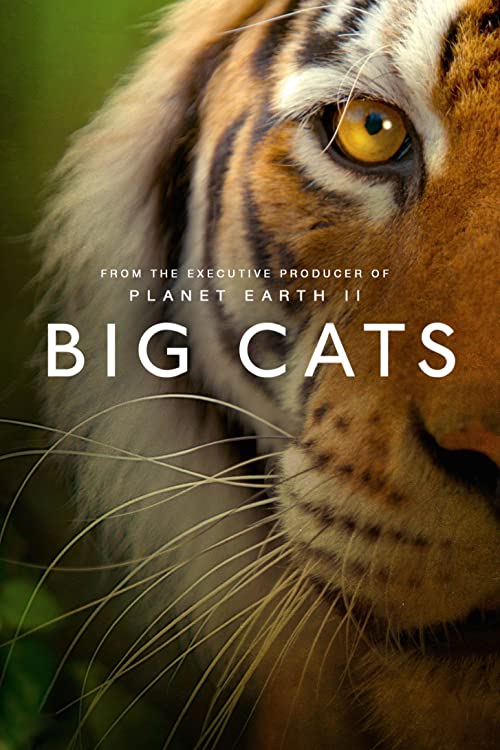 The.Secret.Lives.of.Big.Cats.S01.720p.HMAX.WEB-DL.DD2.0.H.264-monkee – 6.1 GB