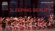 The.Sleeping.Beauty.Live.From.The.Royal.Opera.House.London.2018.1080p.AMZN.WEB-DL.DDP2.0.H.264-QOQ – 9.8 GB