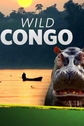 Wild.Congo.S01.720p.DSNP.WEB-DL.DDP5.1.H.264-SPiRiT – 2.8 GB