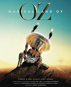 Magical.Land.of.Oz.S01.1080p.NF.WEB-DL.DDP2.0.H.264-playWEB – 8.9 GB