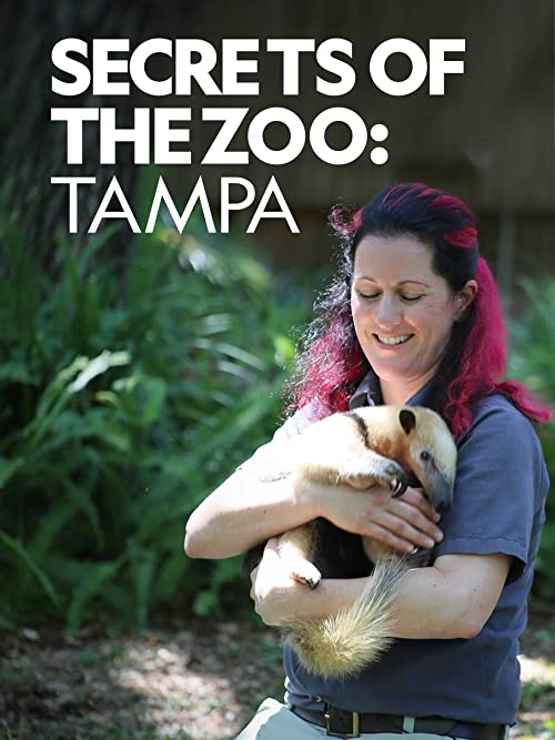 Secrets.of.the.Zoo-Tampa.S01.720p.WEBRip.x264-CAFFEiNE – 7.4 GB