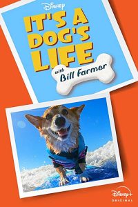 Its.a.Dogs.Life.with.Bill.Farmer.S01.720p.DSNP.WEB-DL.DDP5.1.H.264-SPiRiT – 6.6 GB