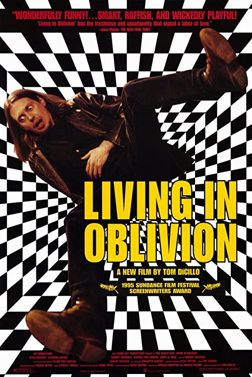 Living.in.Oblivion.1995.BluRay.1080p.FLAC.2.0.AVC.REMUX-FraMeSToR – 18.0 GB