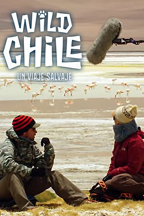 Wild.Chile.S01.720p.DSNP.WEB-DL.DDP5.1.H.264-SPiRiT – 4.1 GB