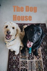 The.Dog.House.S01.1080p.HMAX.WEB-DL.DD2.0.H.264-NTb – 22.6 GB