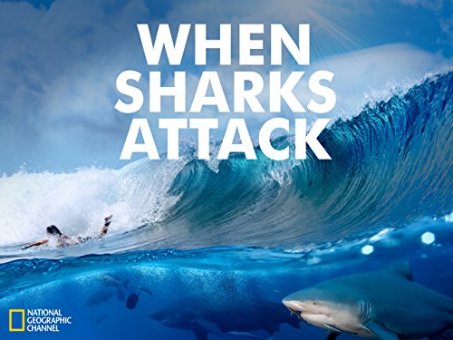 When.Sharks.Attack.S06.720p.WEB.h264-CAFFEiNE – 6.5 GB