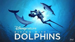 Diving.With.Dolphins.2020.720p.DSNP.WEB-DL.DDP5.1-ETHiCS – 2.5 GB