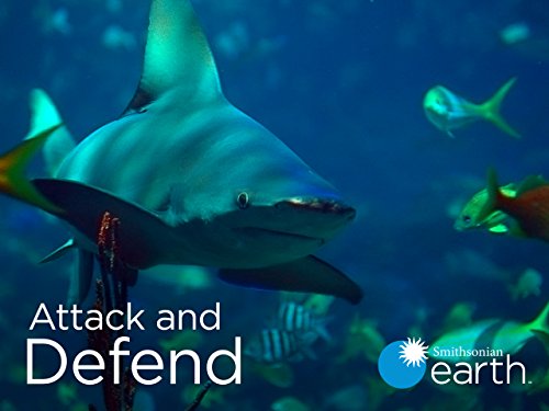 Attack.and.Defend.S01.720p.WEB.h264-CAFFEiNE – 3.3 GB